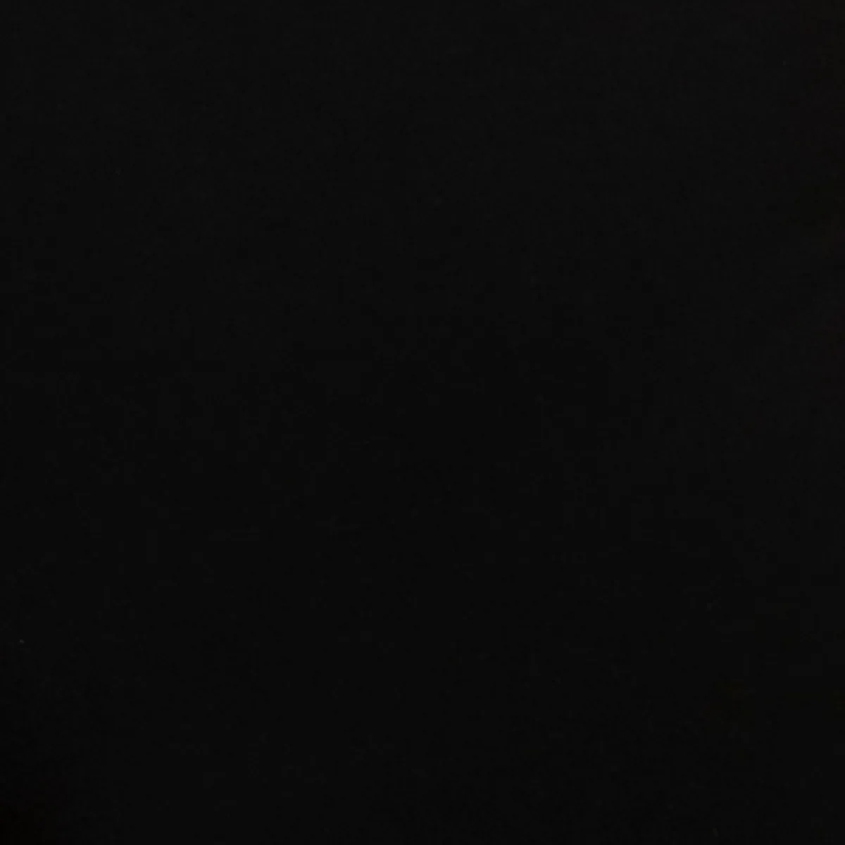 Alexa Classic Crop Pant  Black - Image 6