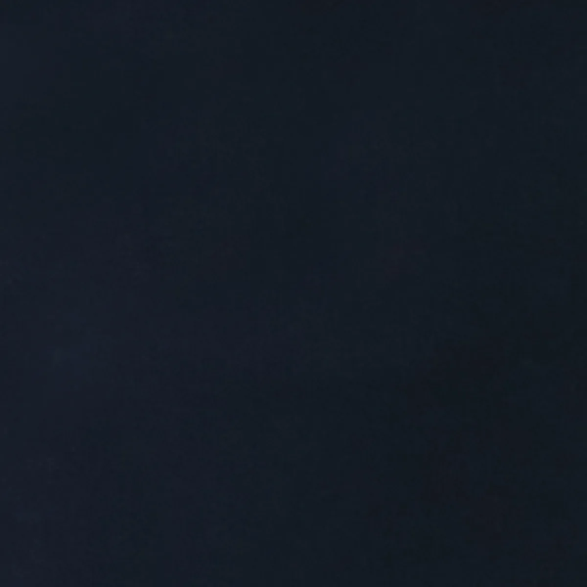 Alexa Classic Crop Pant  Navy - Image 7