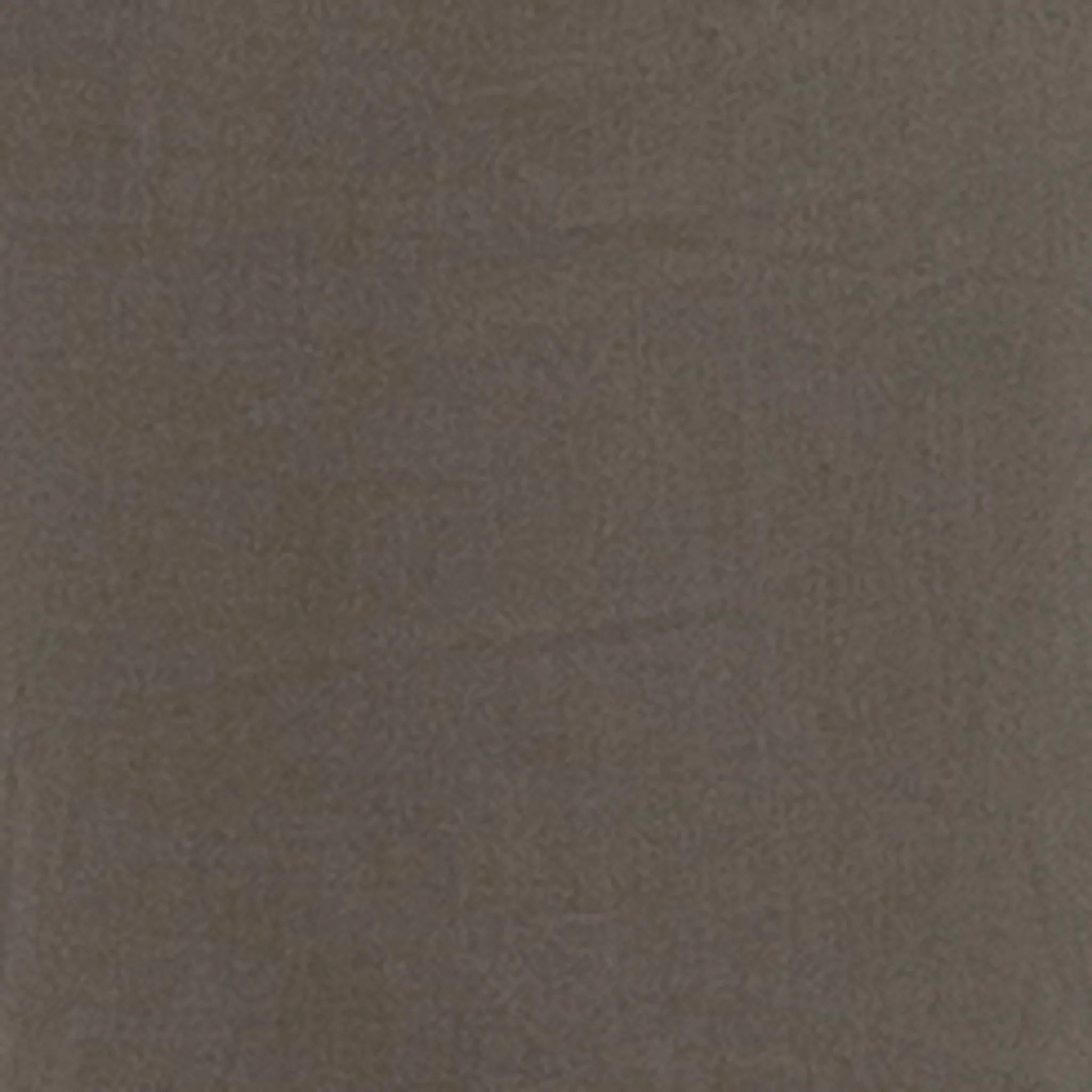 Philly Cotton Pant Moss - Image 7